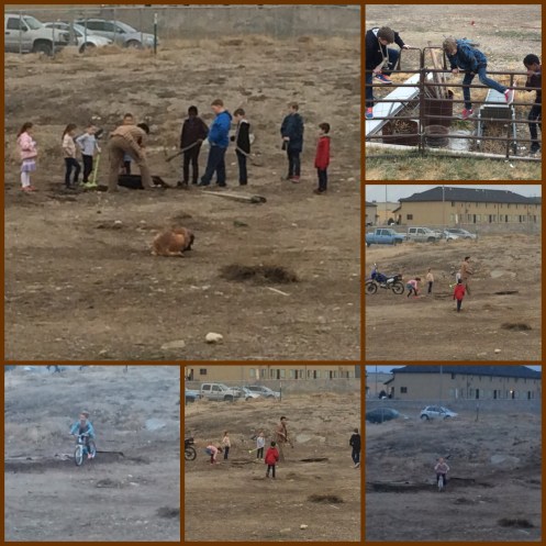 Processed with Moldiv