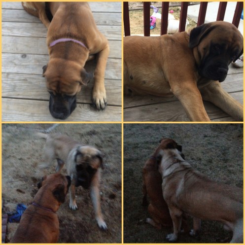 Processed with Moldiv