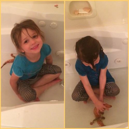 Processed with Moldiv