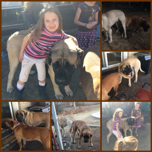 Processed with Moldiv