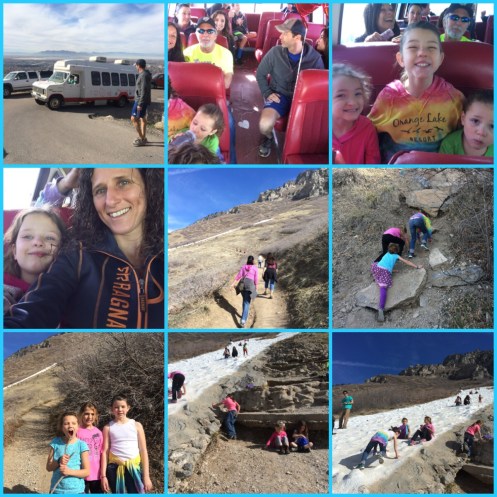 Processed with Moldiv