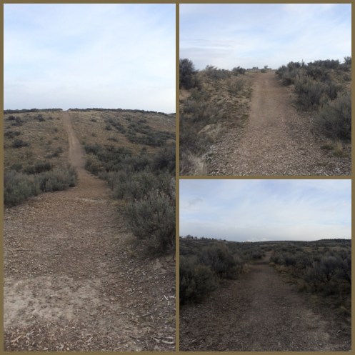 Processed with Moldiv