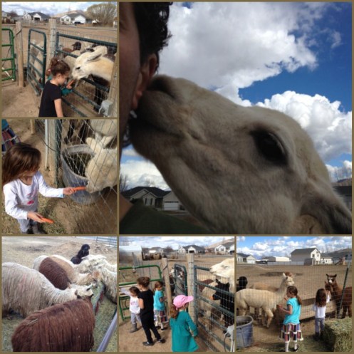 Processed with Moldiv