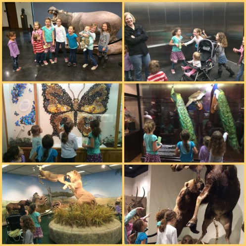 Processed with Moldiv