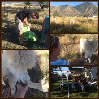 Processed with Moldiv