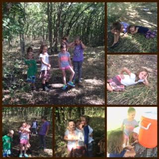 Processed with Moldiv